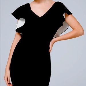 NWT White House Black Market Drama-Sleeve
Crepe Shift Dress
Size 10